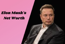 Elon Musk's Net Worth