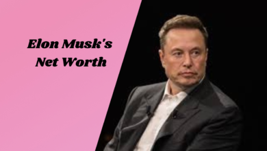 Elon Musk's Net Worth